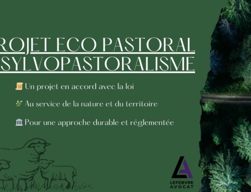 Éco-pastoralisme à Soustons : Un Modèle Durable et Inspirant